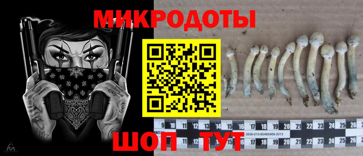 Псилоцибиновые грибы мицелий  Псилоцибиновые грибы Psilocybine cubensis  Вход с VPN  Сафоново 